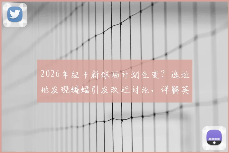 2026年纽卡新球场计划生变？选址地发现蝙蝠引发改迁讨论，详解英国生态保护法规如何影响英超建设