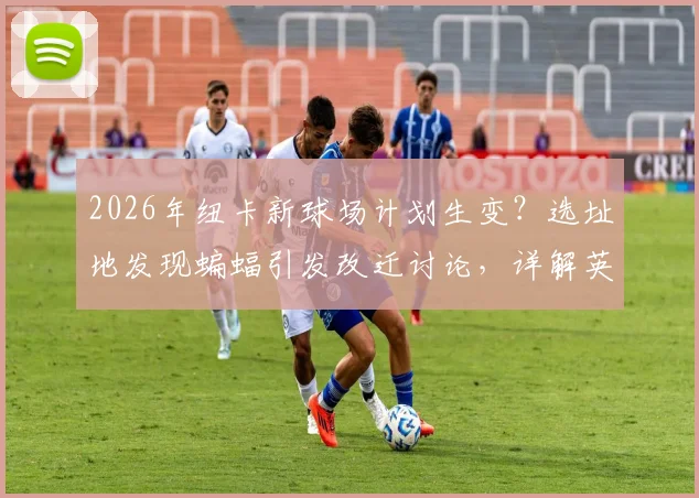 2026年纽卡新球场计划生变？选址地发现蝙蝠引发改迁讨论，详解英国生态保护法规如何影响英超建设